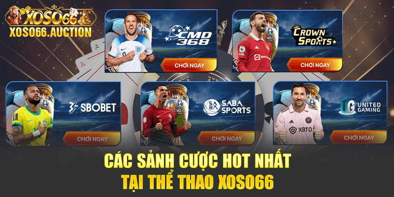 Các sảnh cược hot nhất tại thể thao Xoso66