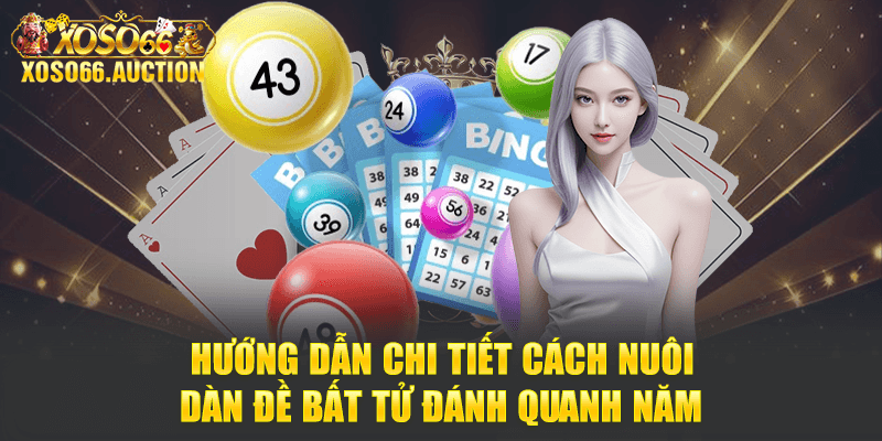 Hướng dẫn chi tiết cách nuôi dàn đề bất tử đánh quanh năm